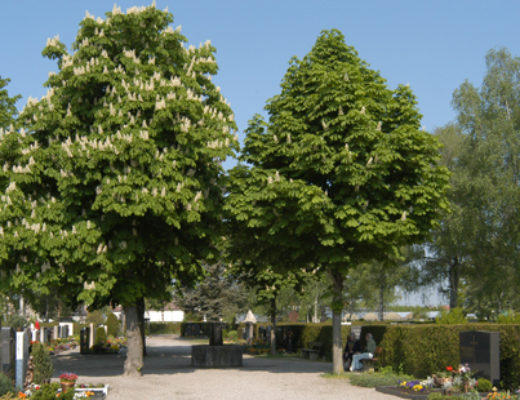 Unsere Gemeinde bekam einen neuen Friedhof